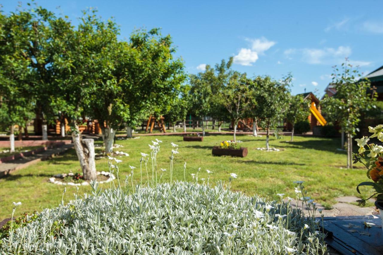 ホテル Magic Garden By Vladut Bacău エクステリア 写真